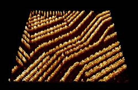 250px-Selfassembly_Organic_Semiconductor_Trixler_LMU